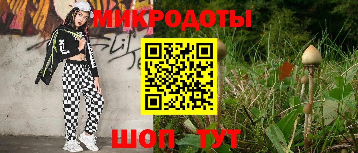 Галлюциногенные грибы прущие грибы Иваново